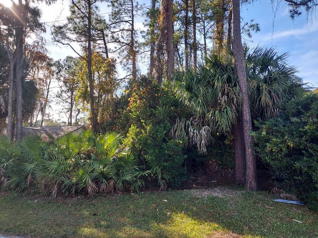 32 Wellesley Lane Palm Coast FL 32164 FC273022 image2