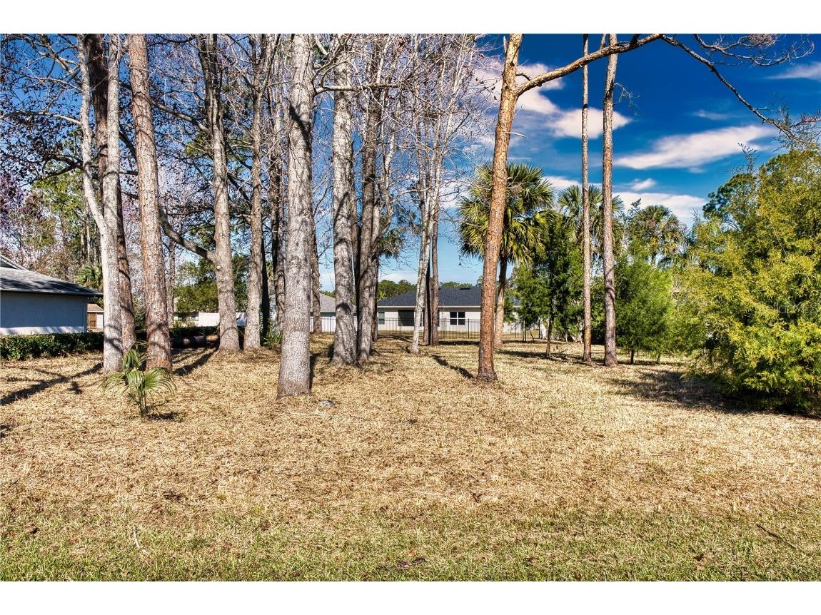 32 Wood Haven Drive Palm Coast FL 32164 FC306513 image1