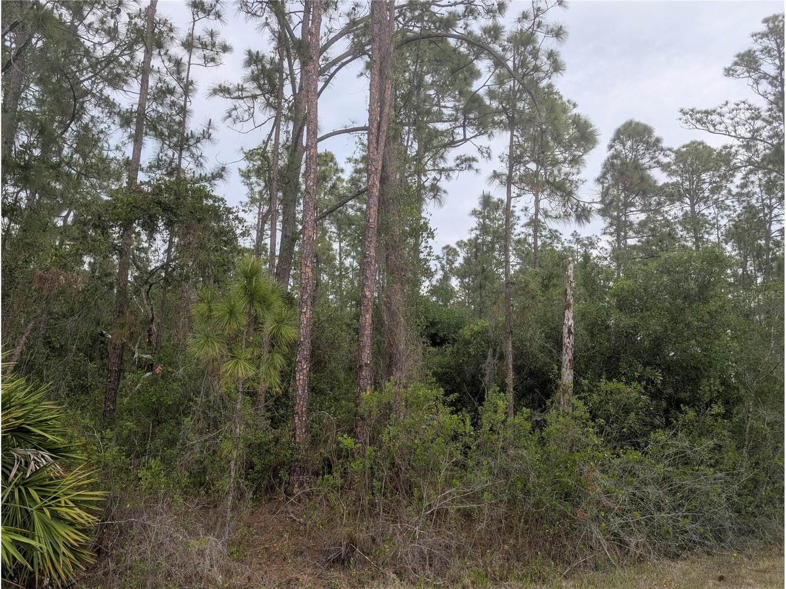 320 Alba Drive Indian Lake Estates FL 33855 - LAKE WALK-IN-WATER P4938689 image1