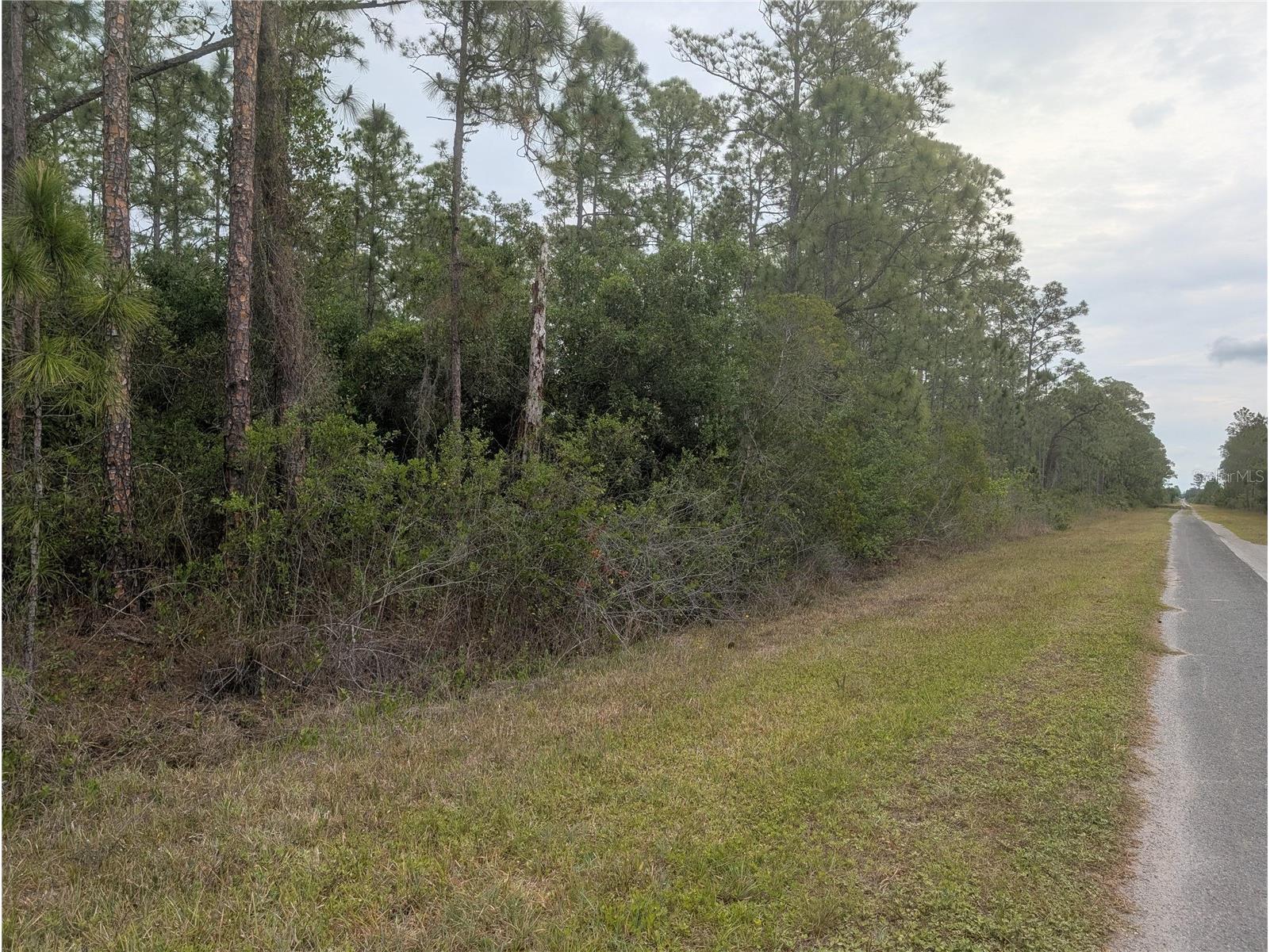 320 Alba Drive Indian Lake Estates FL 33855 - LAKE WALK-IN-WATER P4938689 image2