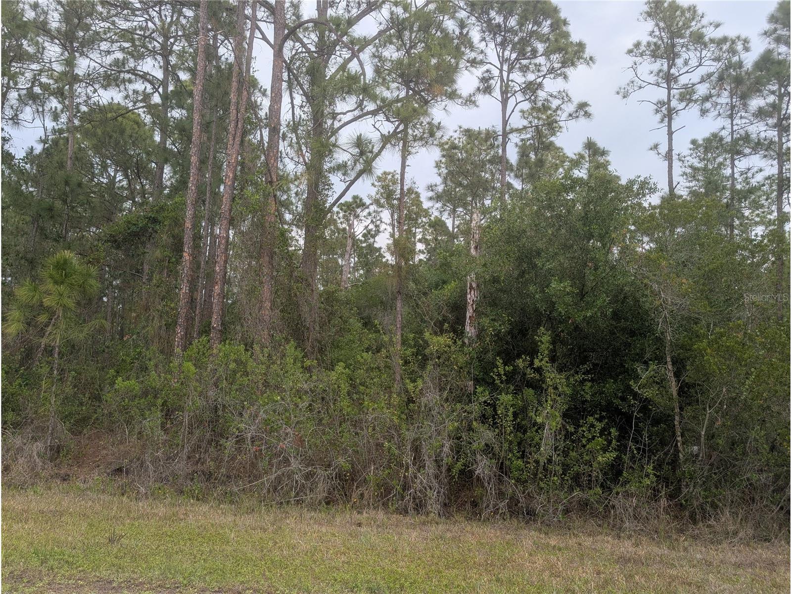 320 Alba Drive Indian Lake Estates FL 33855 - LAKE WALK-IN-WATER P4938689 image3