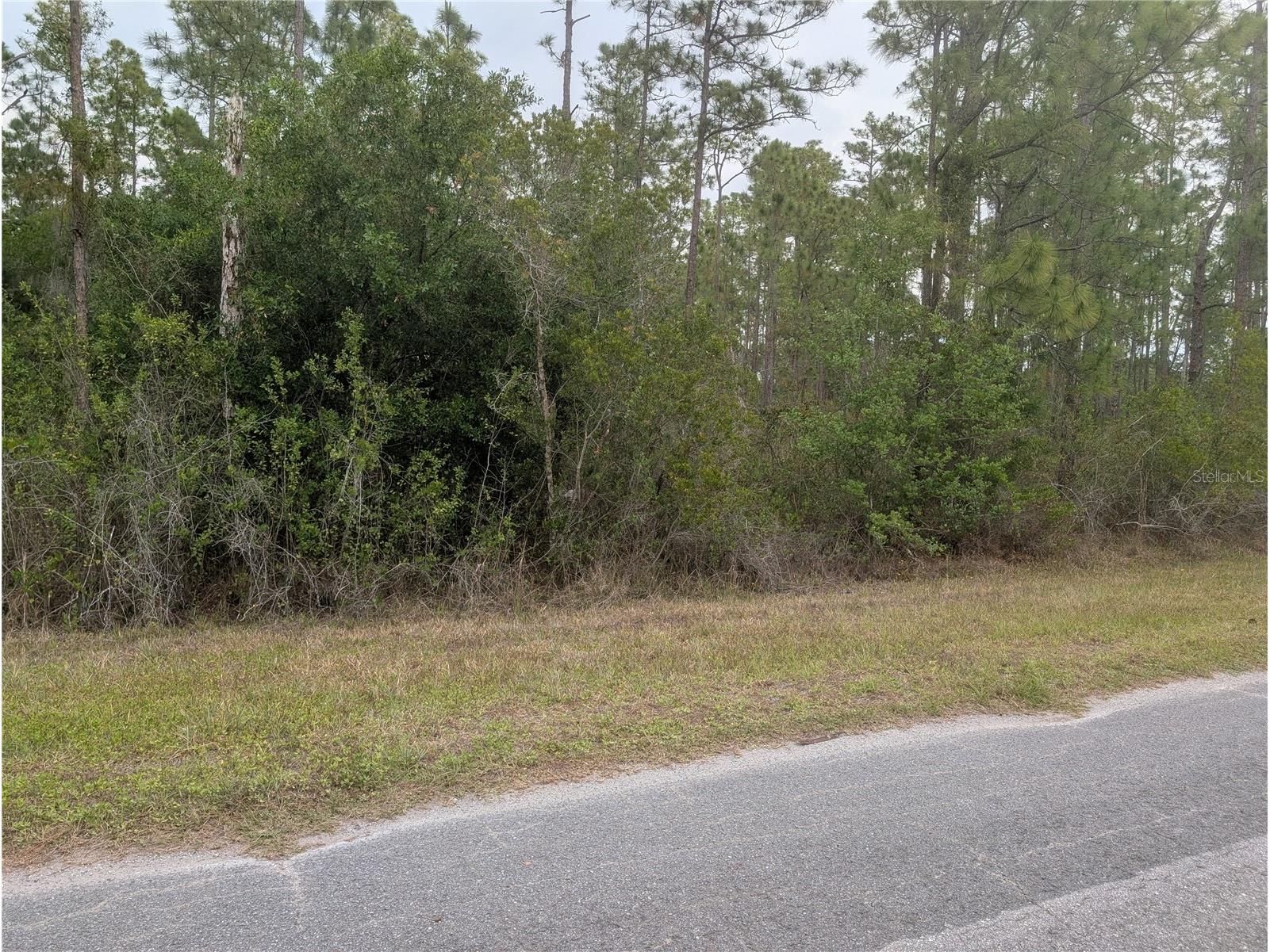 320 Alba Drive Indian Lake Estates FL 33855 - LAKE WALK-IN-WATER P4938689 image4
