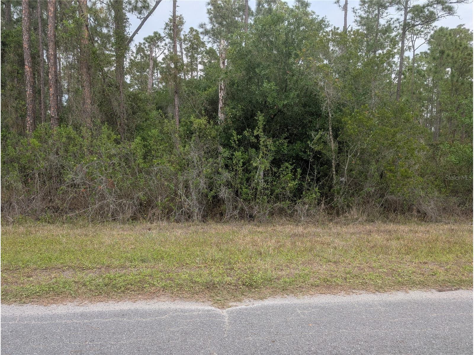 320 Alba Drive Indian Lake Estates FL 33855 - LAKE WALK-IN-WATER P4938689 image5