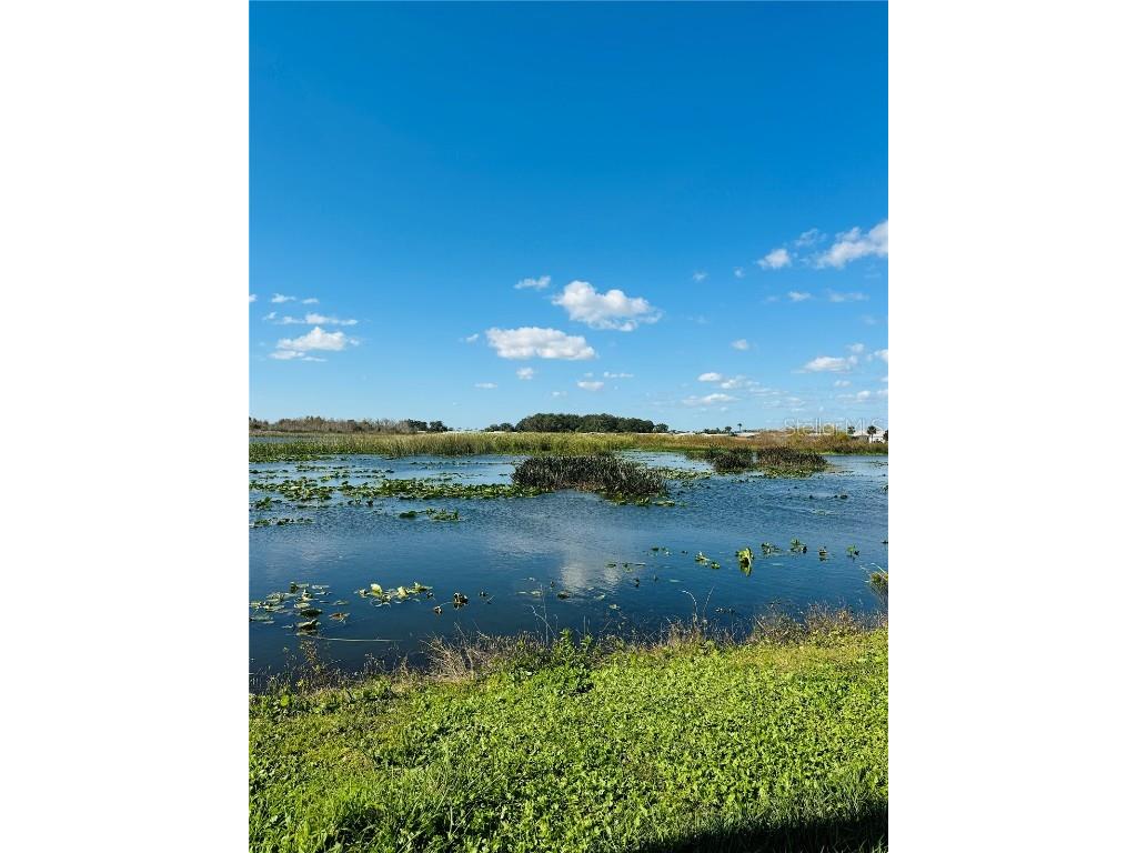 320 Aloha Drive Haines City FL 33844 - LAKE HAMILTON O6370687 image6