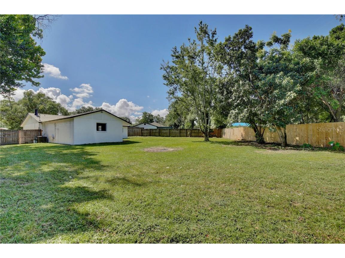 320 Avalone Drive Apopka FL 32703 O6336505 image28