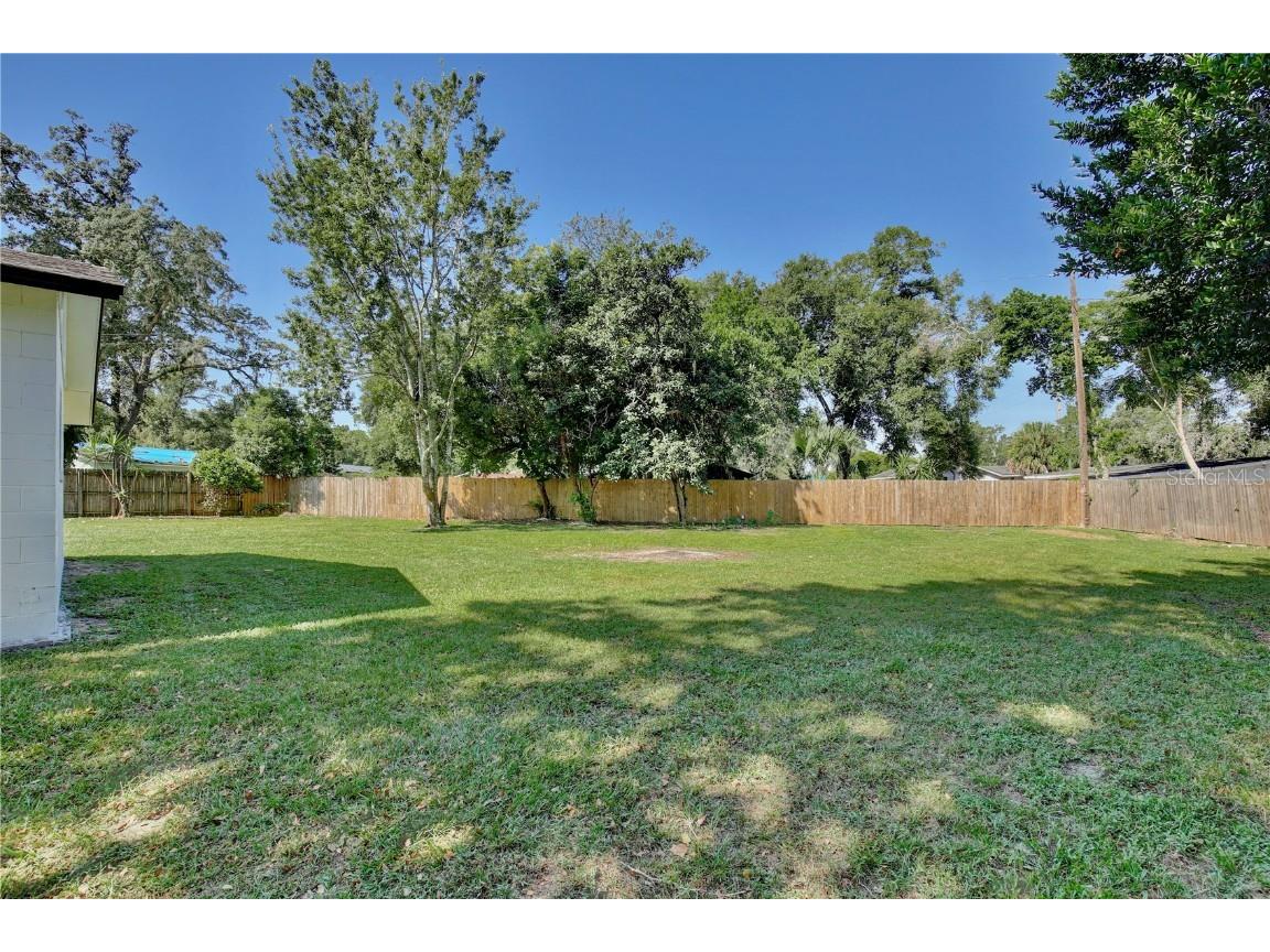 320 Avalone Drive Apopka FL 32703 O6336505 image29