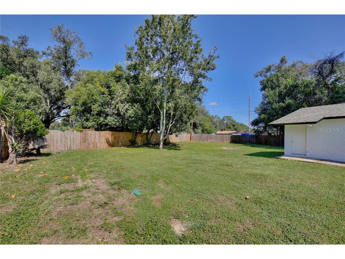 320 Avalone Drive Apopka FL 32703 O6336505 image30