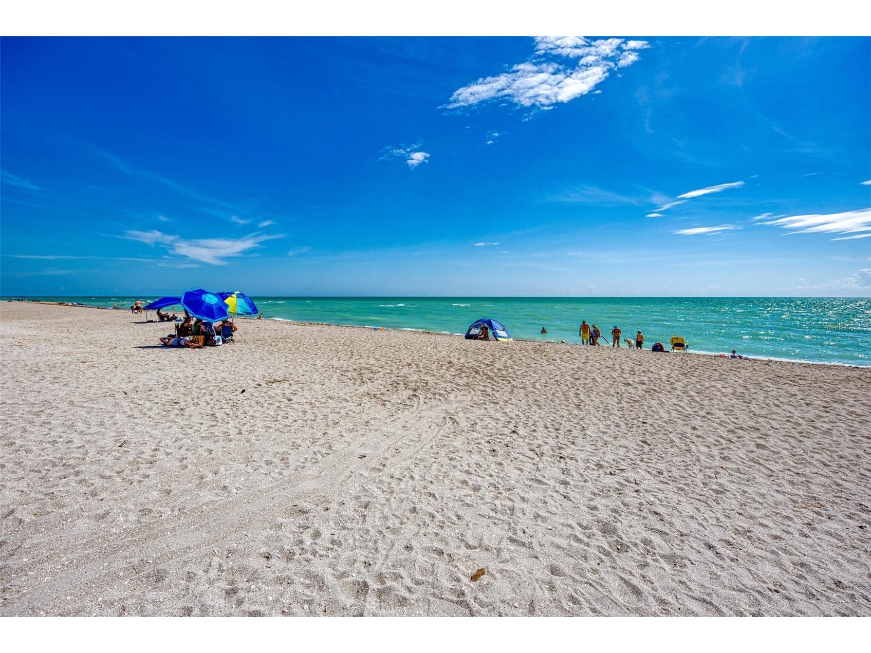 320 Base Avenue E #224 Venice FL 34285 N6143146 image39