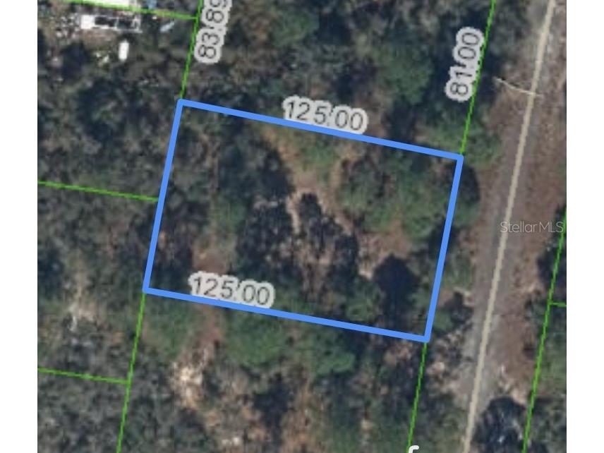 320 Blue Heaven Drive Lake Placid FL 33852 P4936195 image1