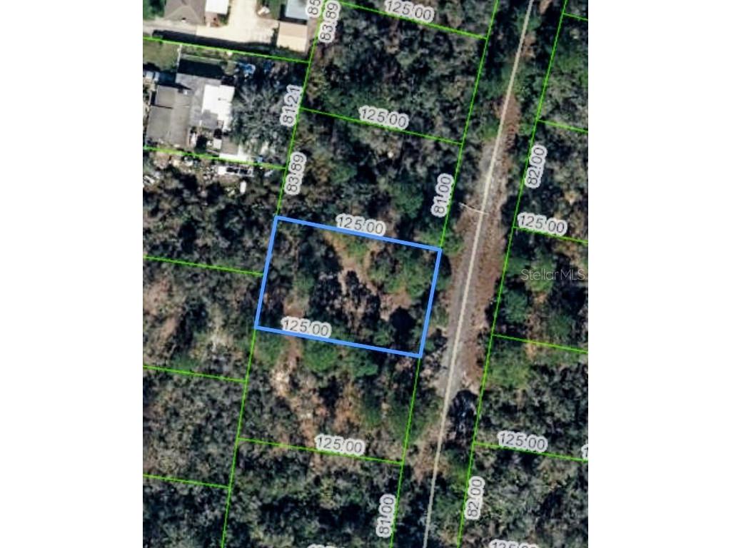 320 Blue Heaven Drive Lake Placid FL 33852 P4936195 image6