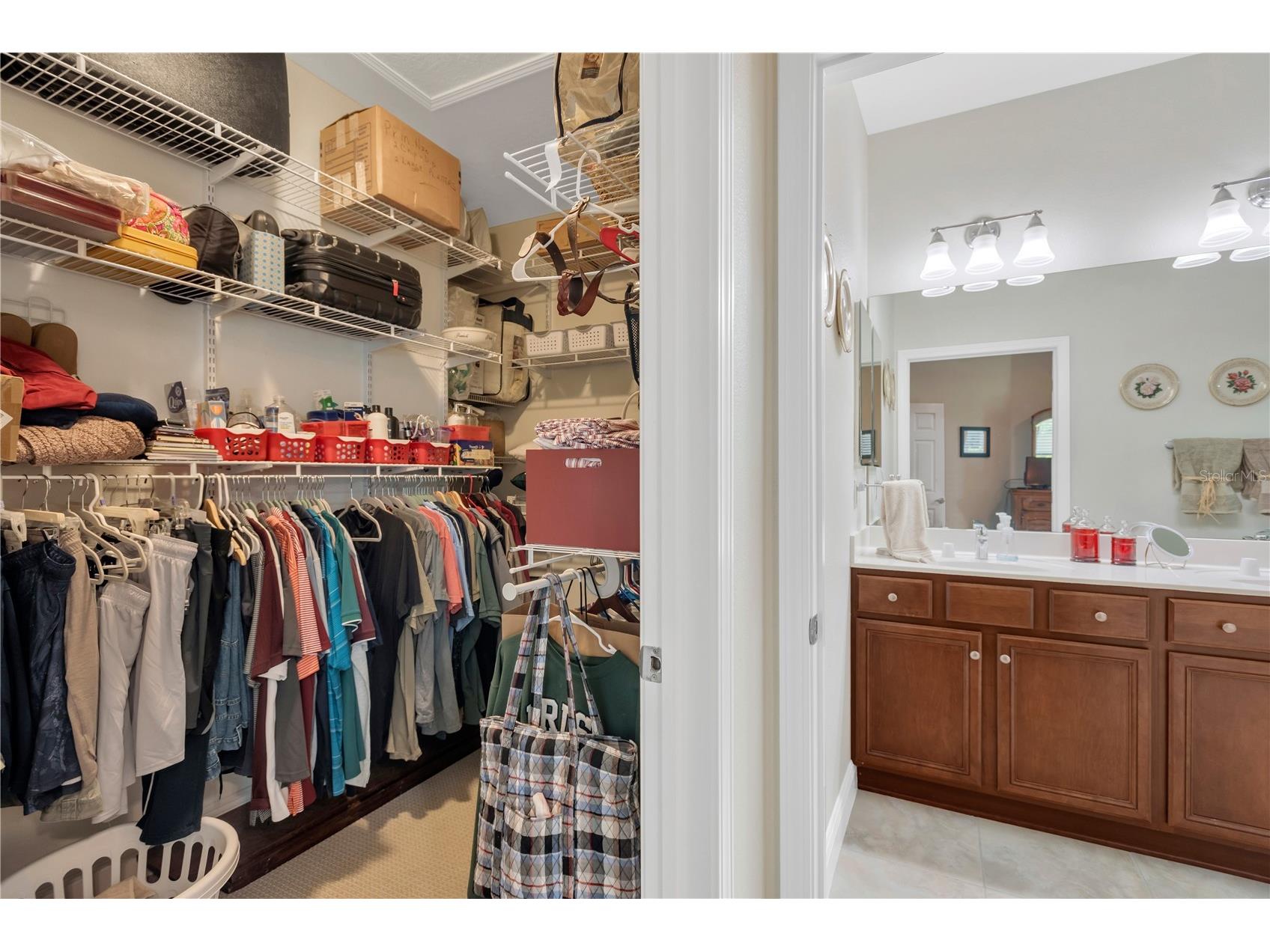 320 Bluewater Falls Court Apollo Beach FL 33572 TB8489848 image20