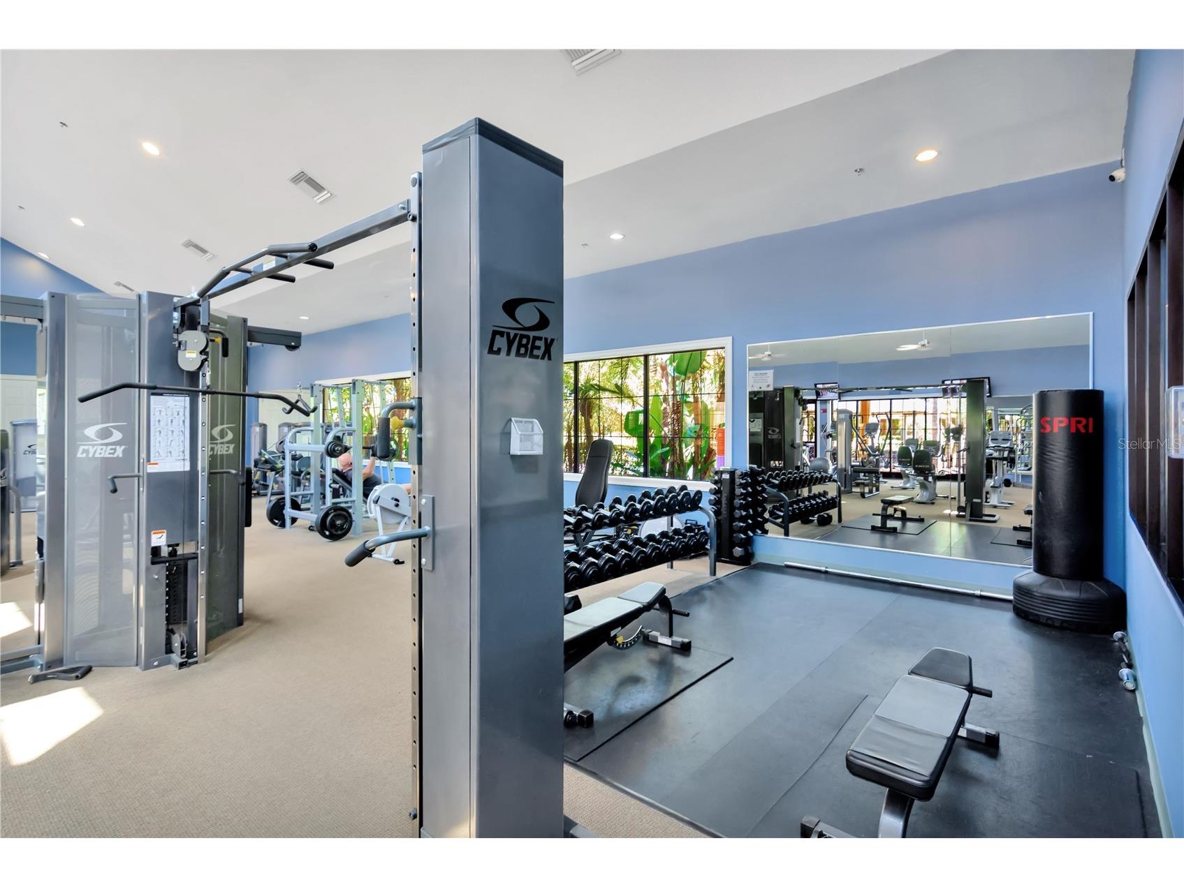320 Bluewater Falls Court Apollo Beach FL 33572 TB8489848 image38