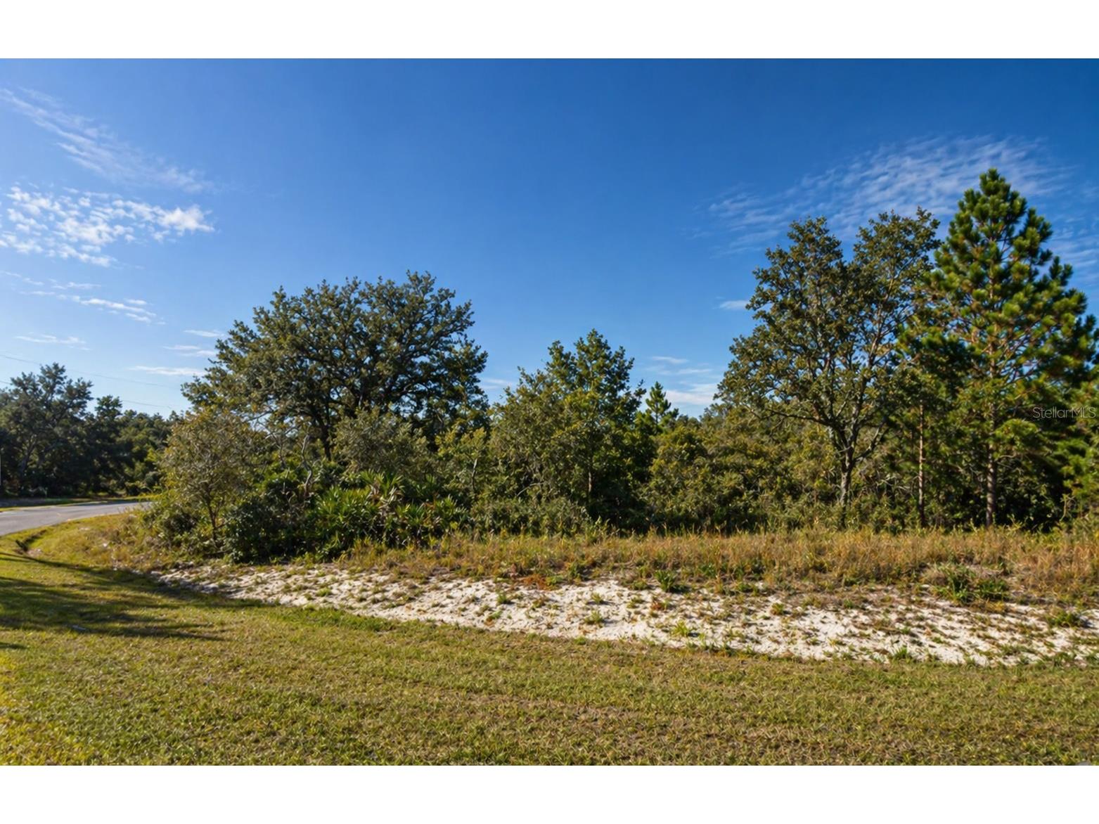 320 Bowfin Drive Kissimmee FL 34759 S5148462 image3