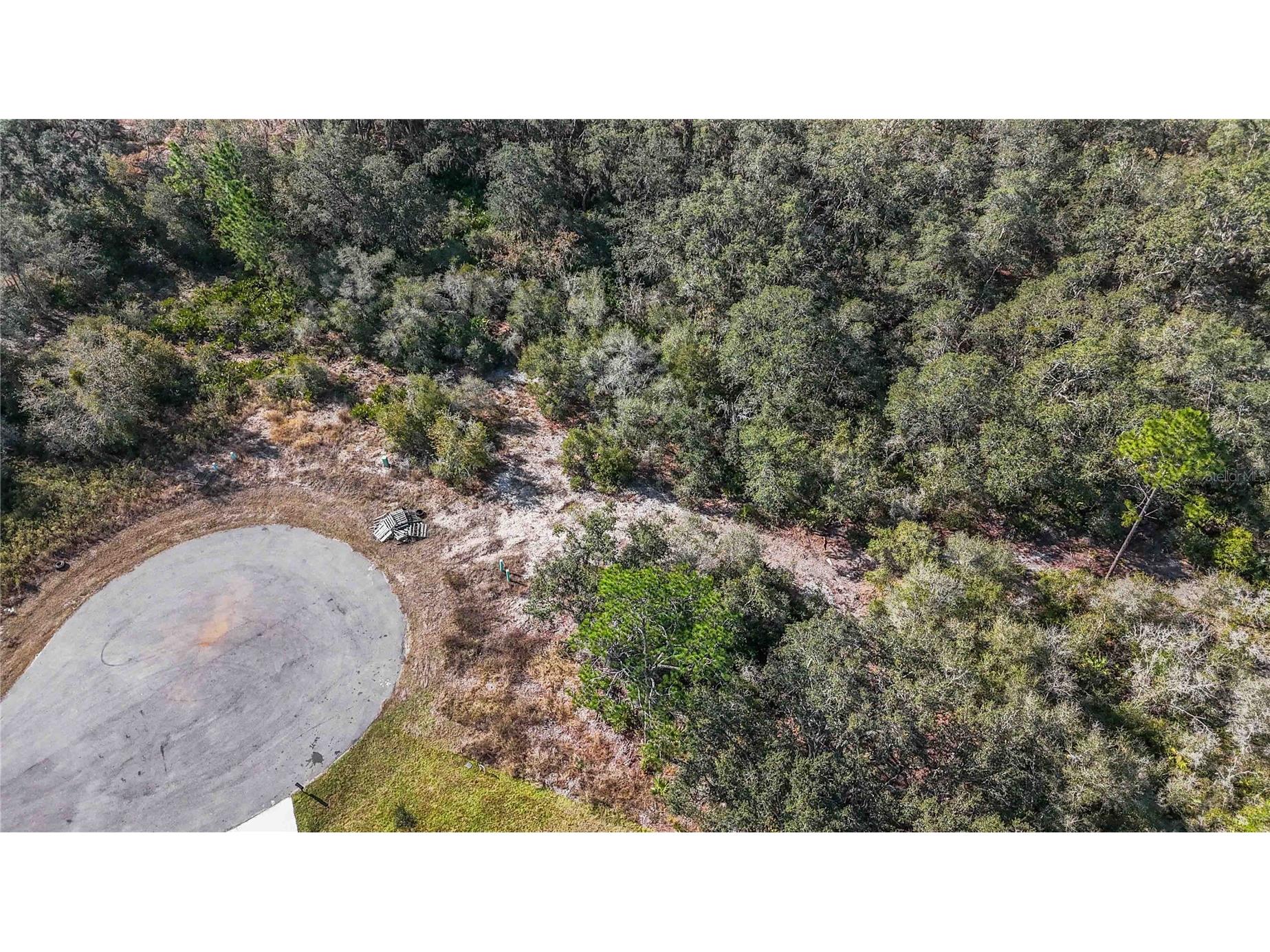 320 Bowfin Lane Kissimmee FL 34759 O6371742 image4