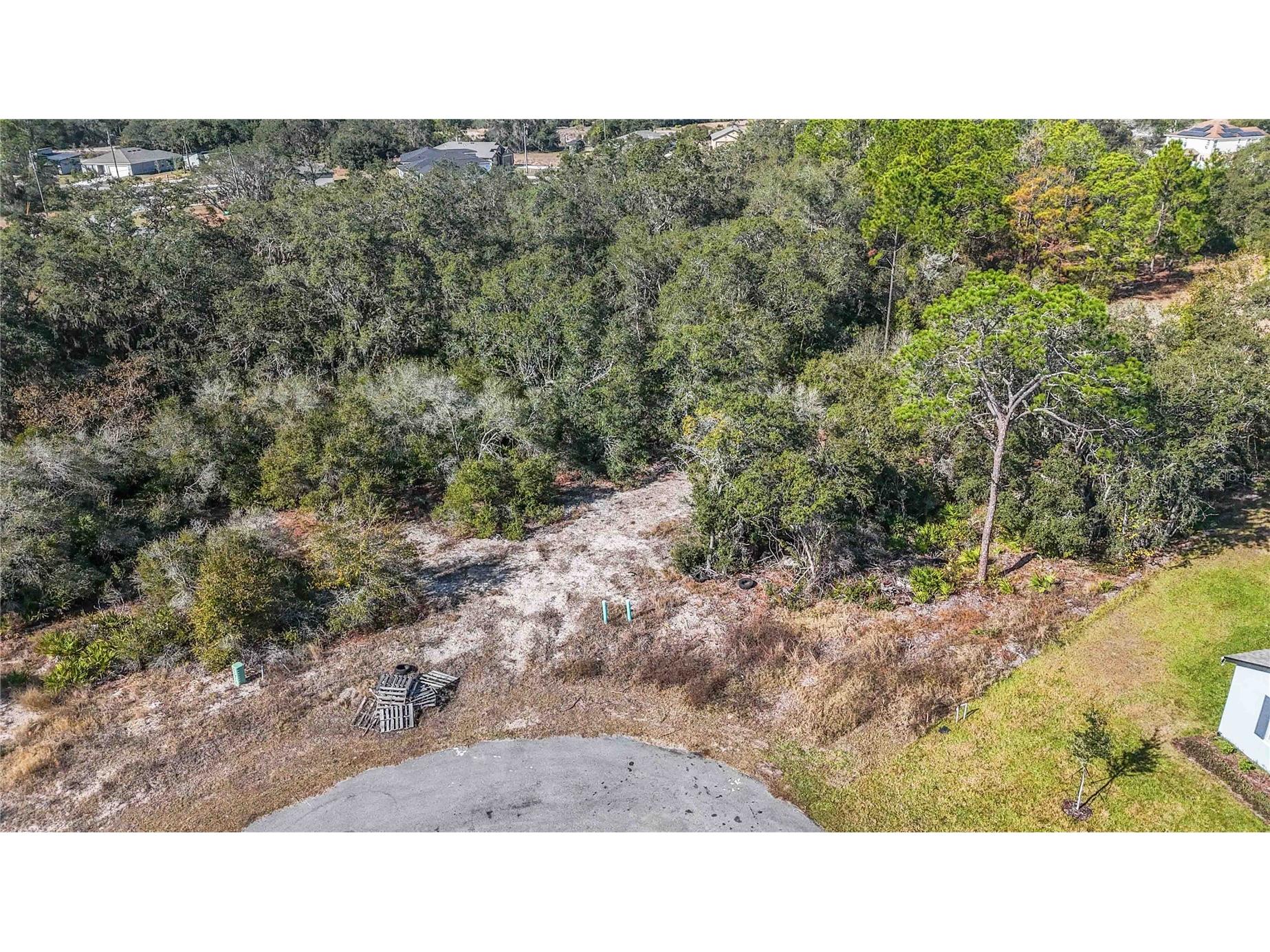 320 Bowfin Lane Kissimmee FL 34759 O6371742 image5