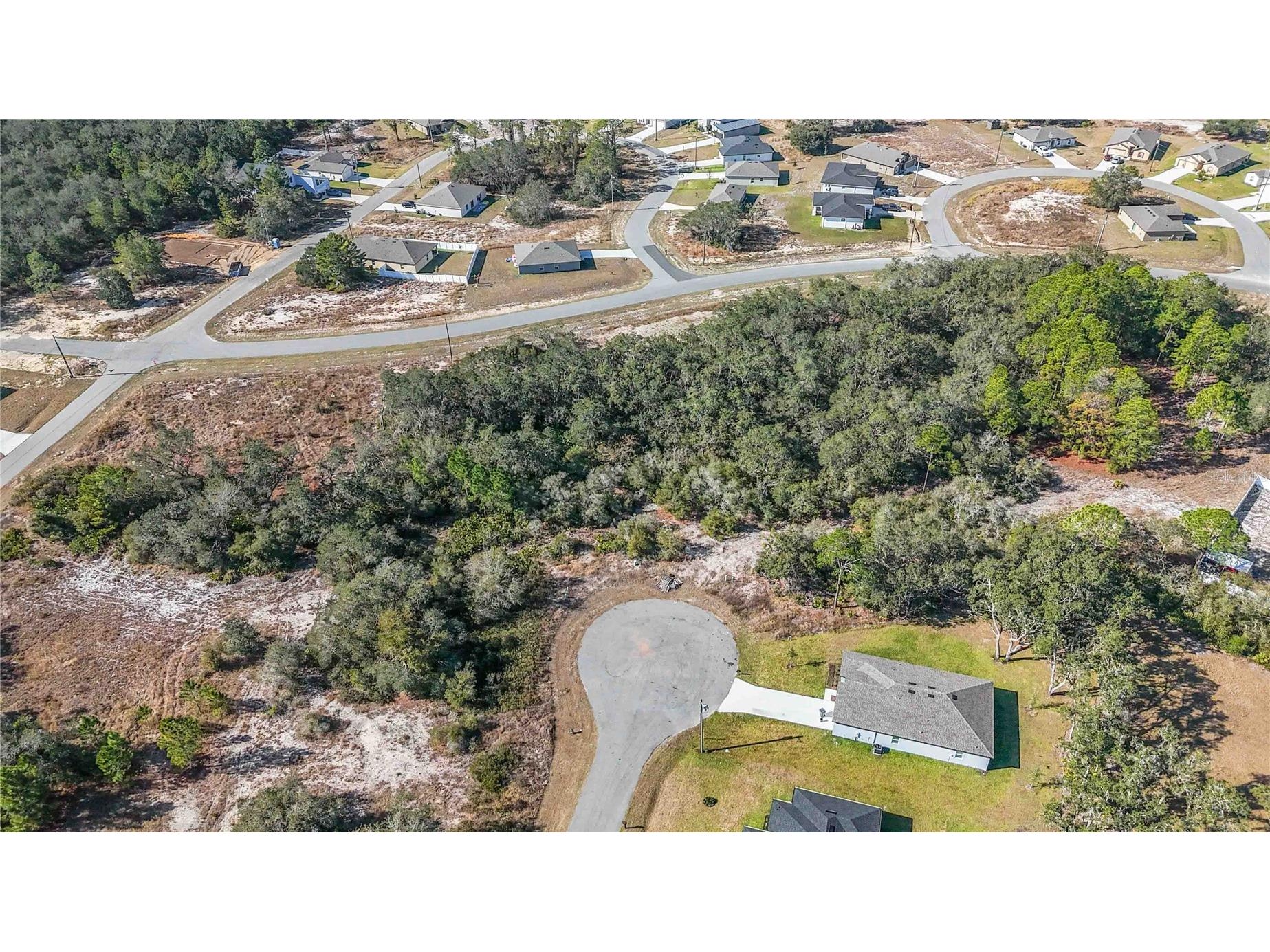 320 Bowfin Lane Kissimmee FL 34759 O6371742 image7