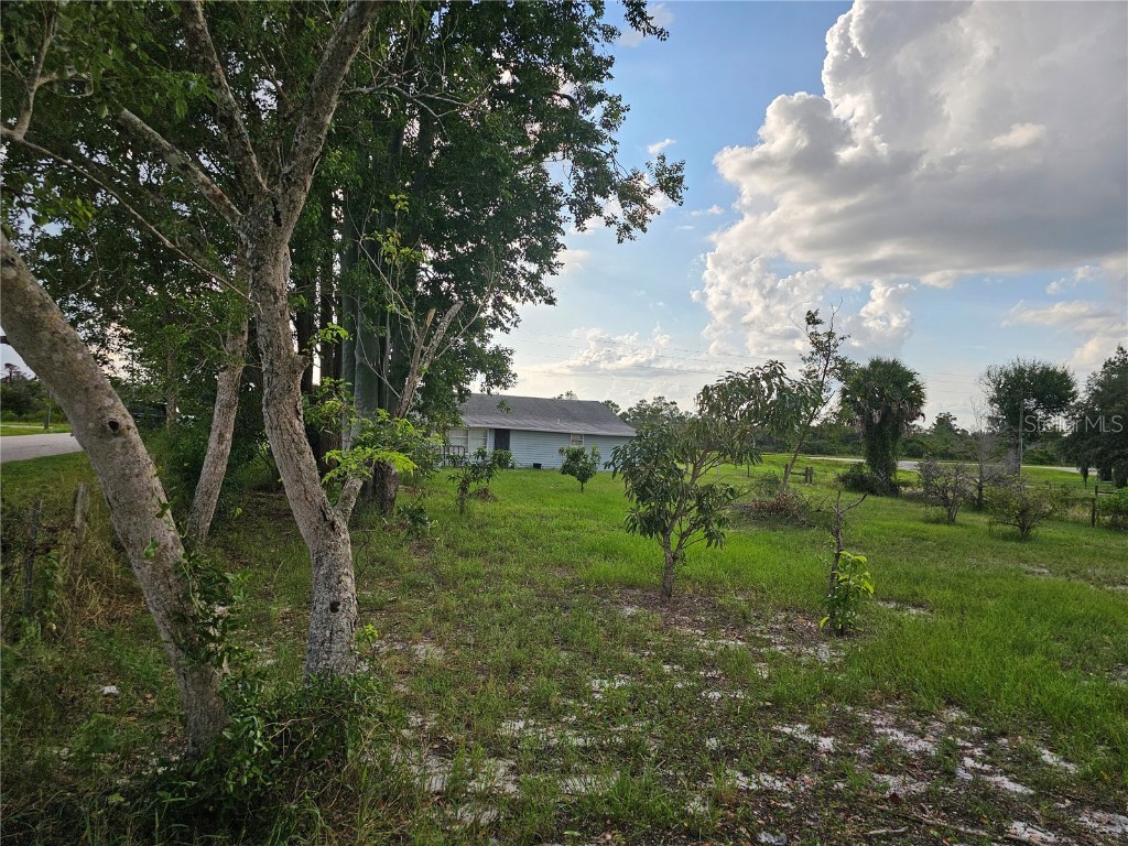 320 County Road 619 Lake Placid FL 33852 P4932084 image27