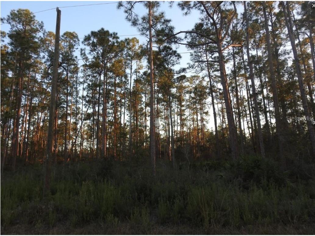 320 Gaillardia Drive Indian Lake Estates FL 33855 A4673604 image1