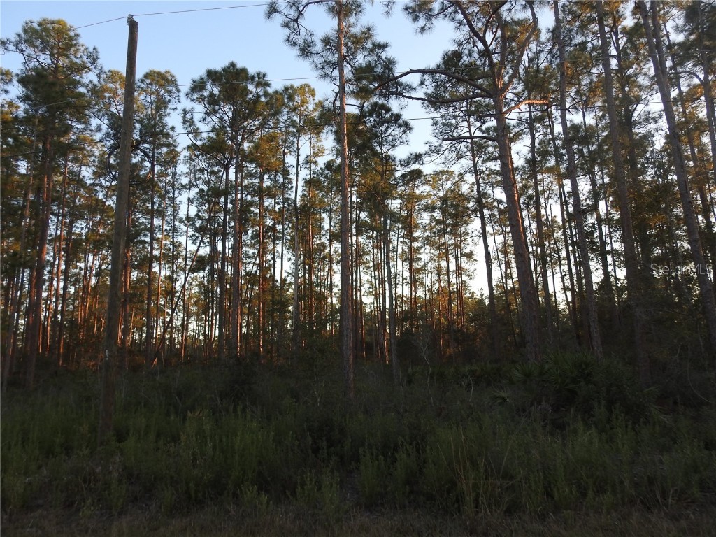 320 Gallardia Drive Indian Lake Estates FL 33855 A4635204 image1