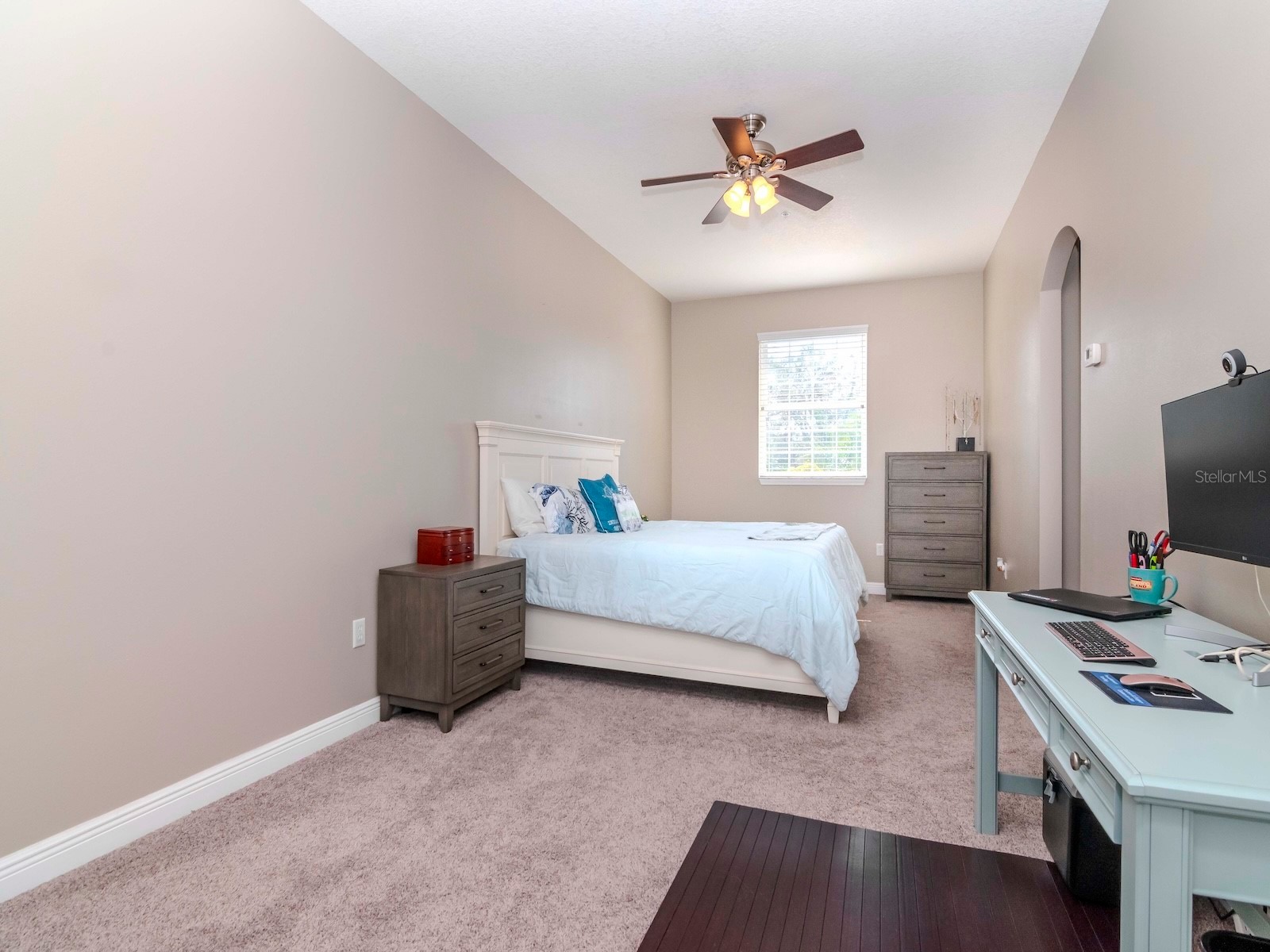 320 Georgia Avenue Crystal Beach FL 34681 TB8461277 image27