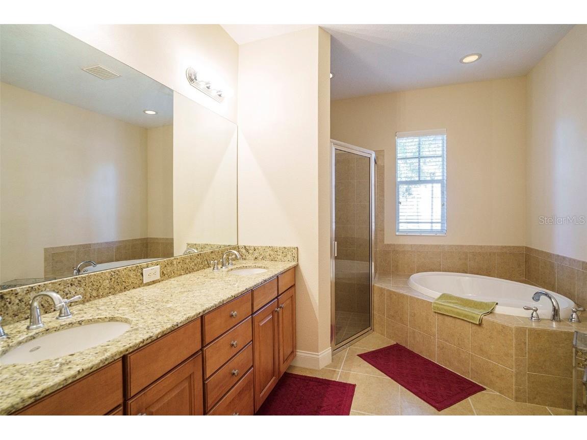 320 Ibisview Lane Apollo Beach FL 33572 TB8449780 image27