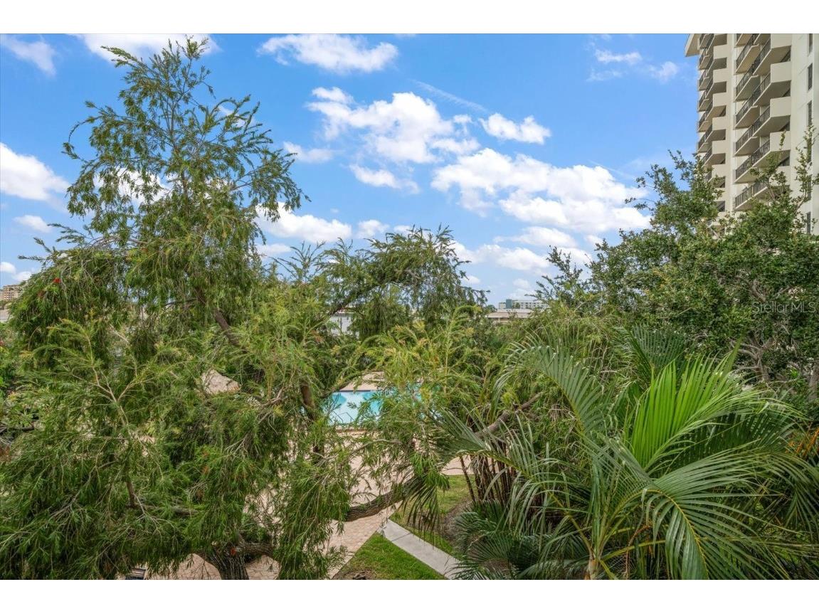 320 Island Way #105 Clearwater Beach FL 33767 TB8439335 image39