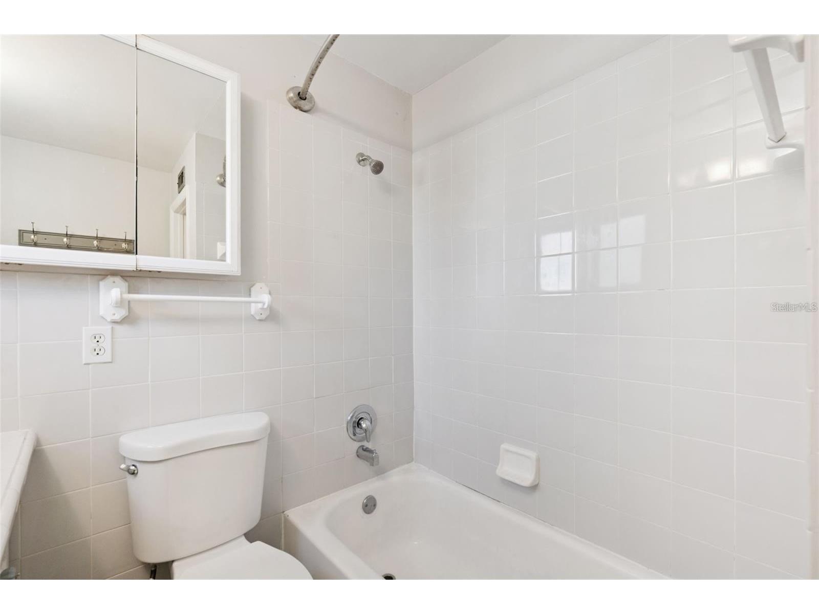 320 Lakeview Street #213 Orlando FL 32804 O6412305 image17