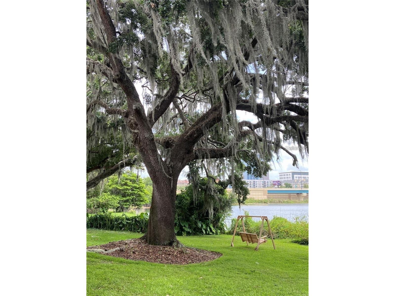320 Lakeview Street #213 Orlando FL 32804 O6412305 image23