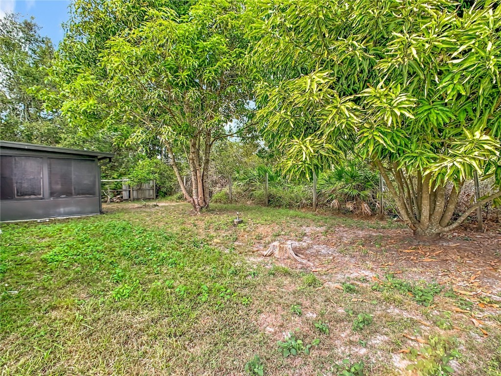 320 Marquee Drive Kissimmee FL 34758 S5131622 image59