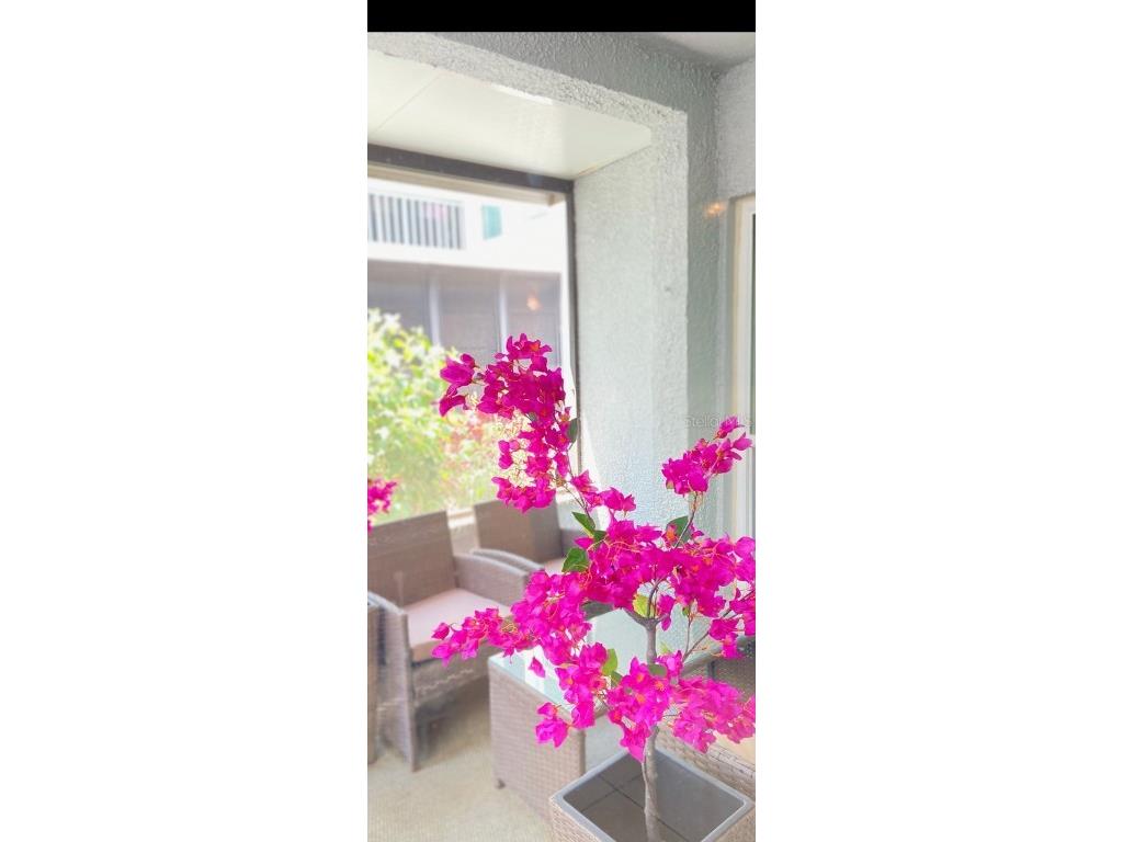 320 Medallion Boulevard #D Madeira Beach FL 33708 - BOCA CIEGA BAY TB8337220 image17