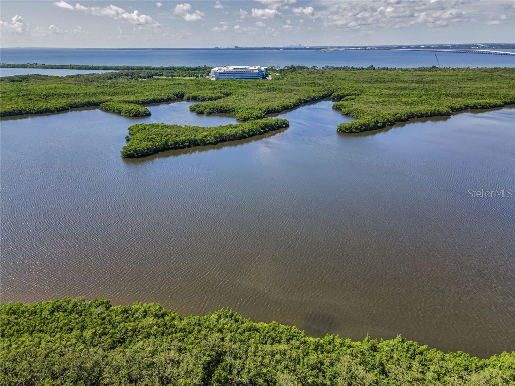 320 N Bayshore Boulevard #107 Clearwater FL 33759 TB8408909 image12