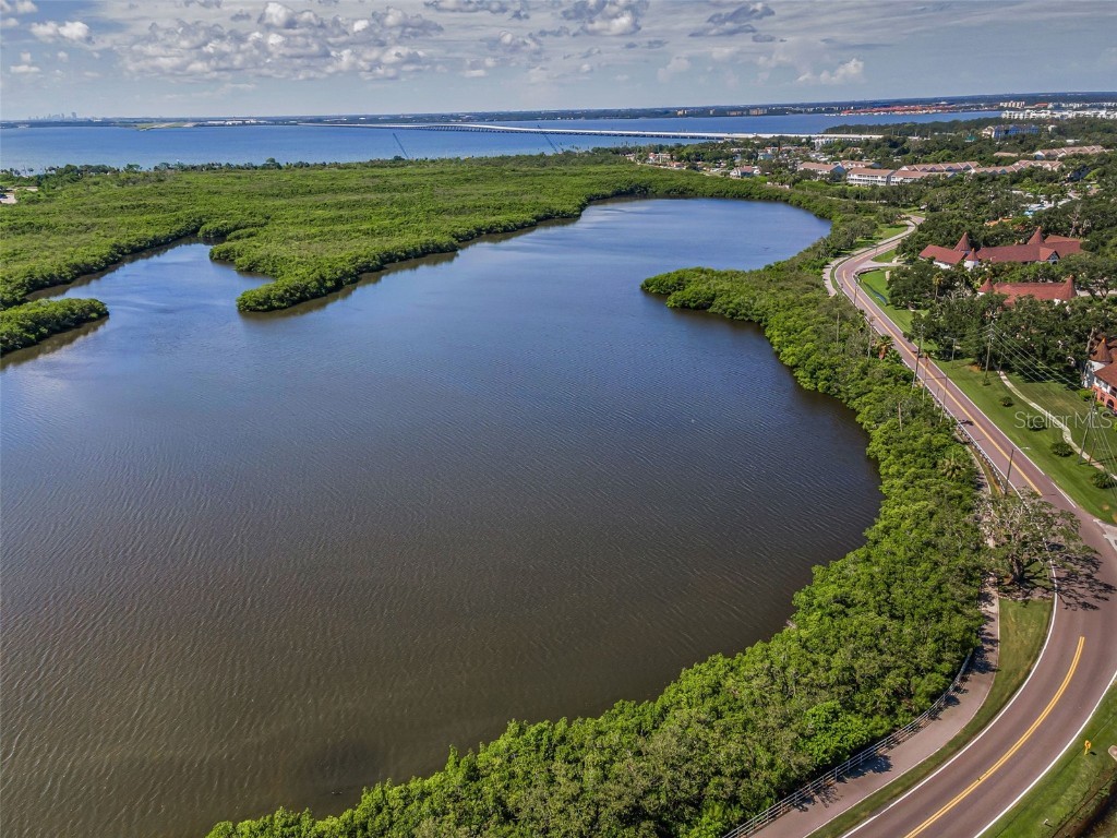 320 N Bayshore Boulevard #107 Clearwater FL 33759 TB8408909 image8