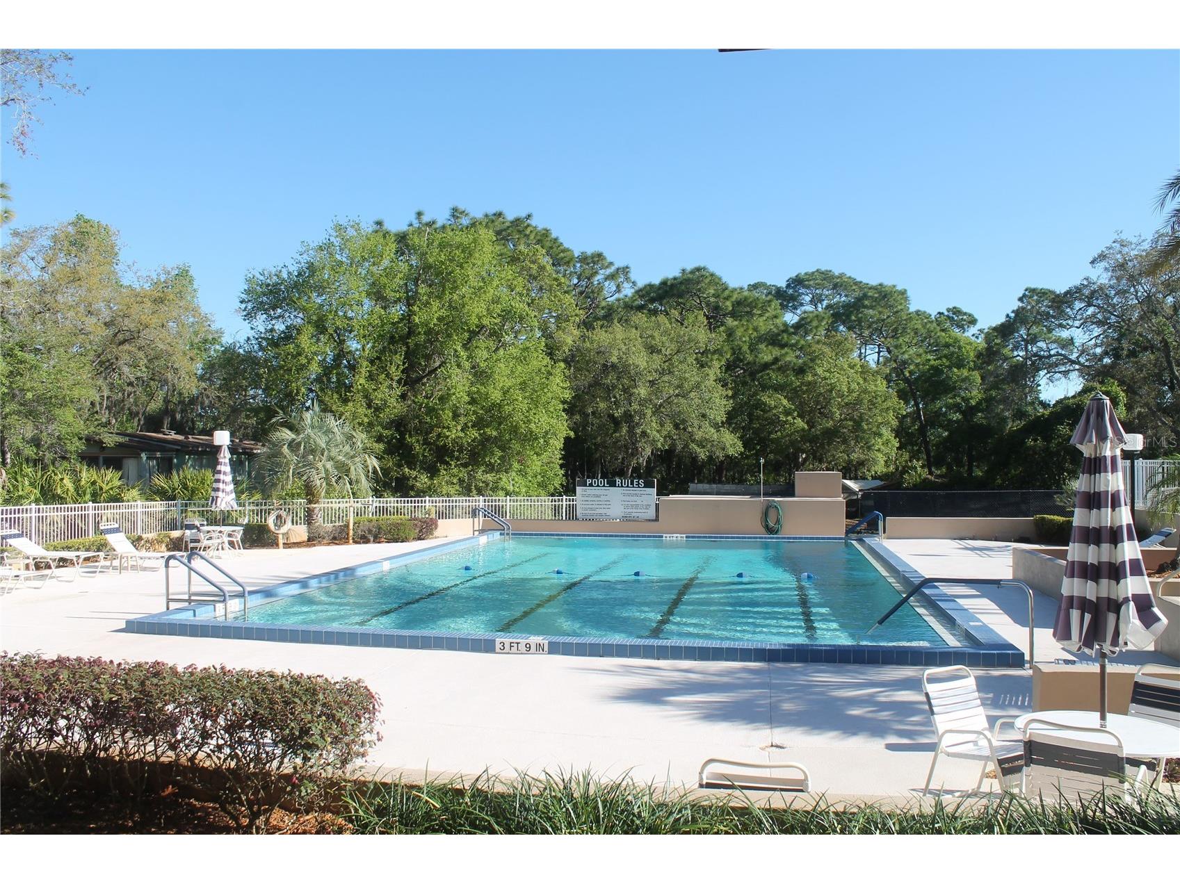 320 N Forest Boulevard Lake Mary FL 32746 O6384129 image66