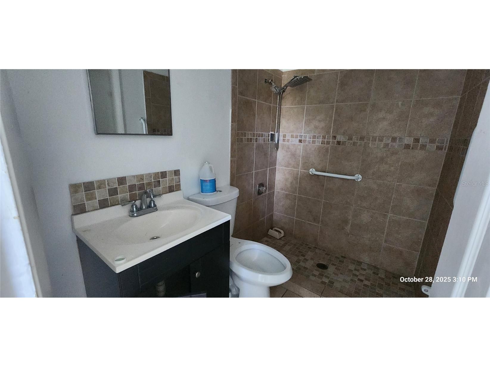 320 Plumosa Avenue Lehigh Acres FL 33936 TB8445066 image12