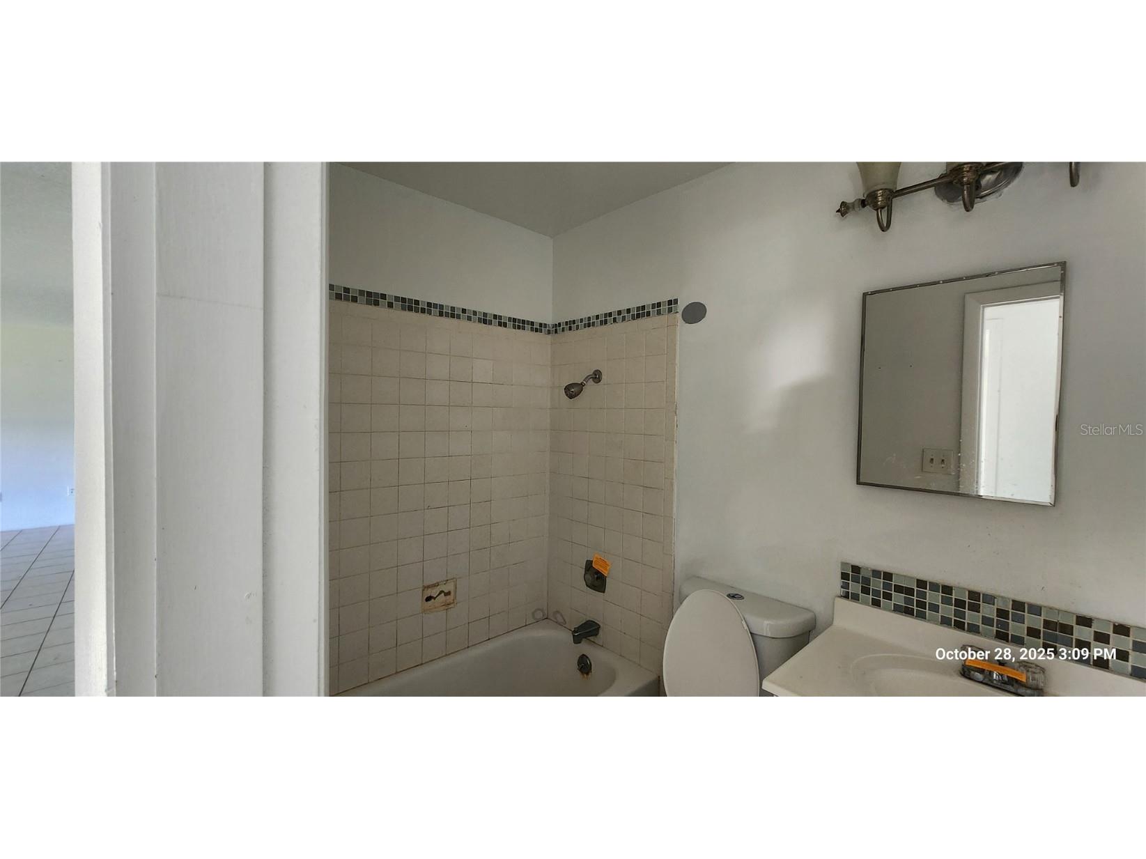 320 Plumosa Avenue Lehigh Acres FL 33936 TB8445066 image13