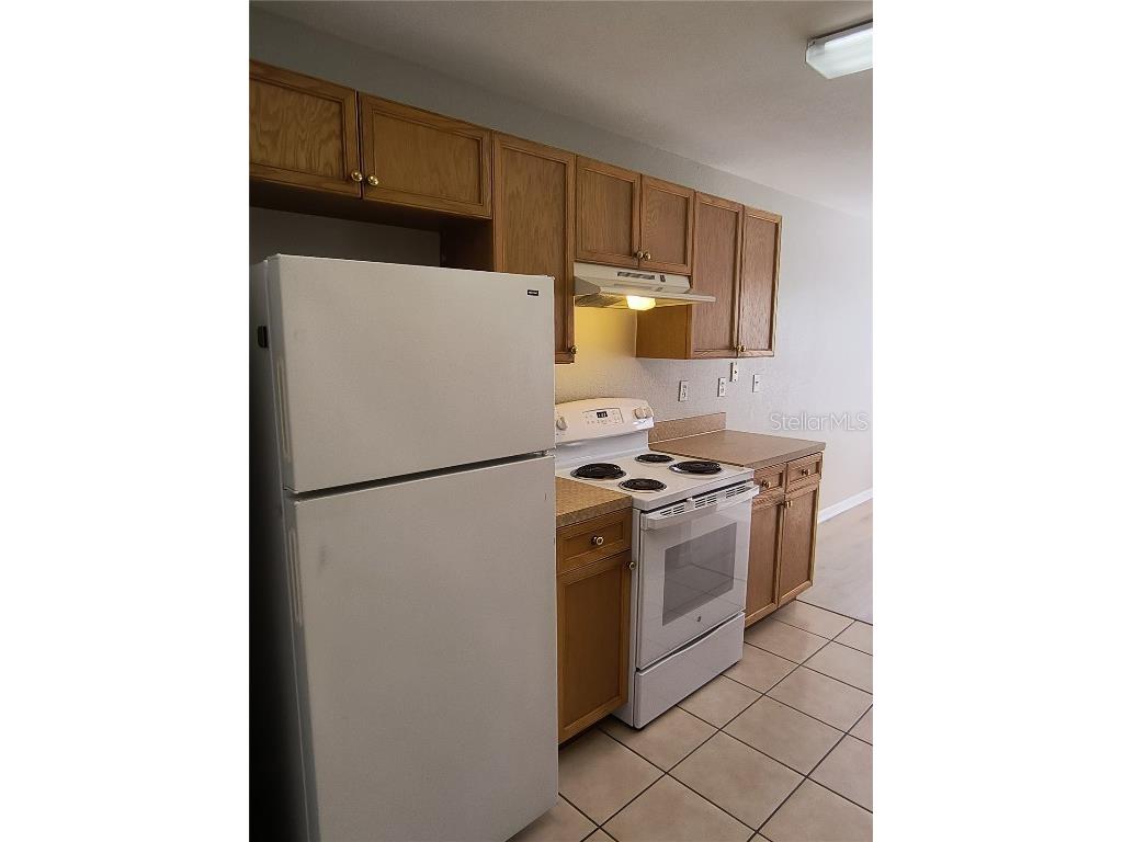 320 Puffer Court Kissimmee FL 34759 S5139637 image28