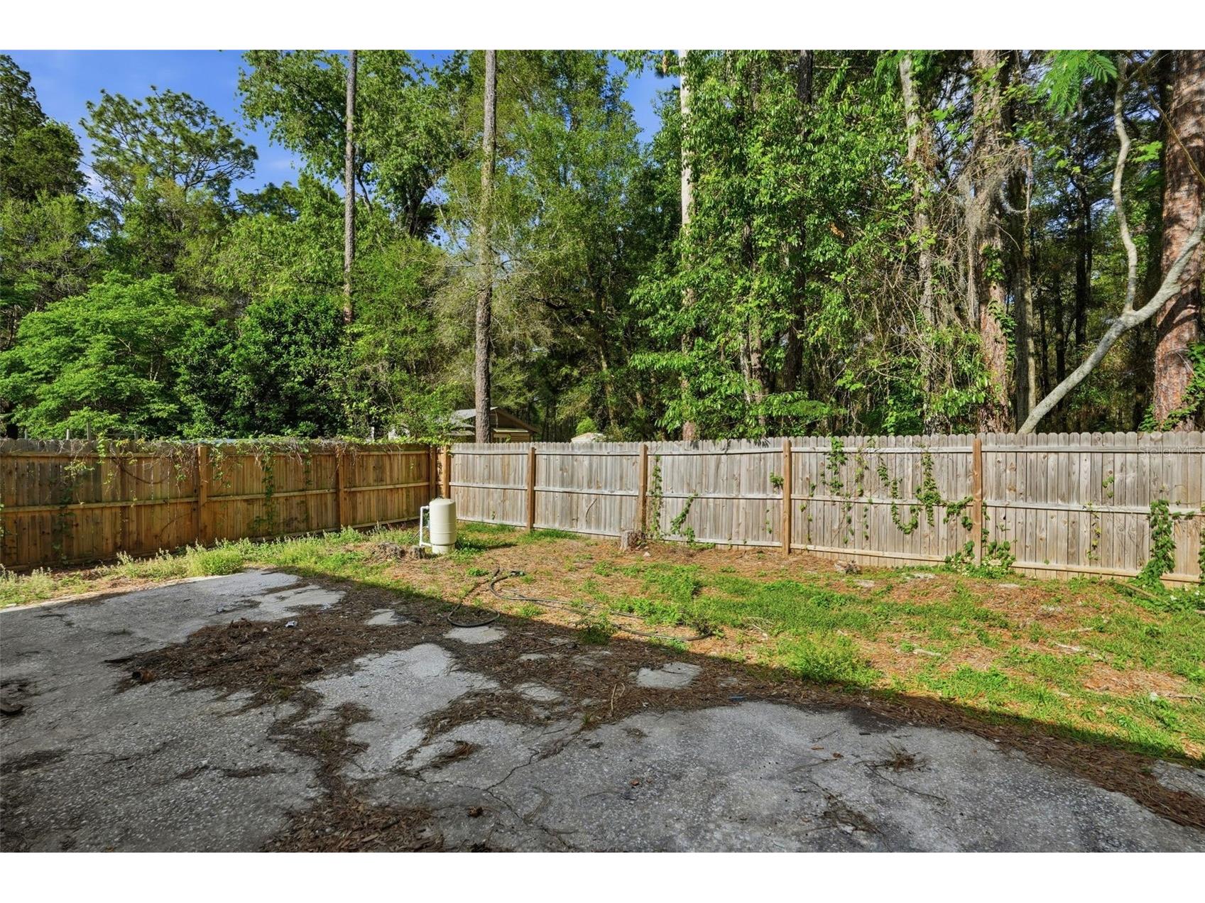 320 S Otis Avenue Lecanto FL 34461 W7883522 image22