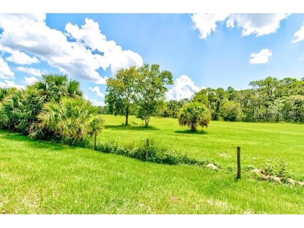 320 Talisi Loop Saint Cloud FL 34771 TB8493441 image42