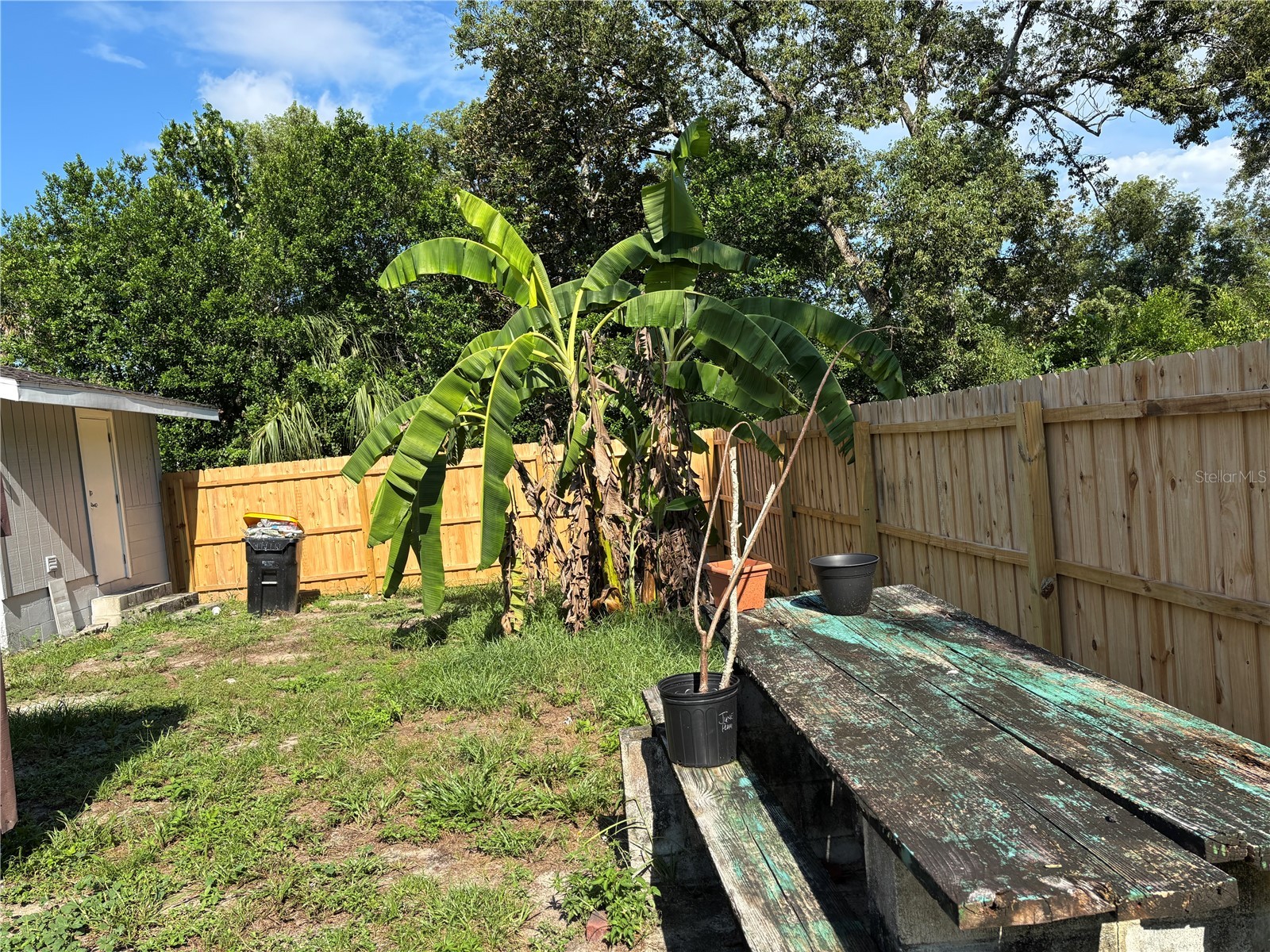 320 W Graves Avenue Orange City FL 32763 V4949205 image6