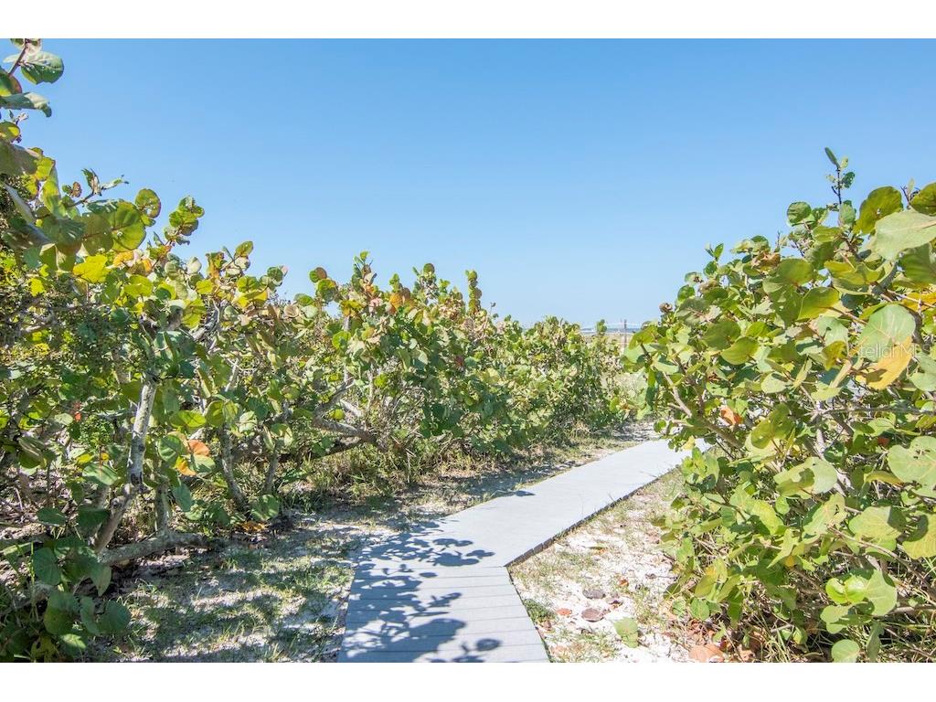3200 Gulf Boulevard #103 Saint Pete Beach FL 33706 TB8496522 image40