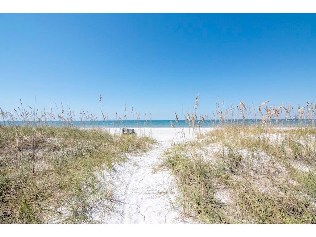 3200 Gulf Boulevard #103 Saint Pete Beach FL 33706 TB8496522 image42