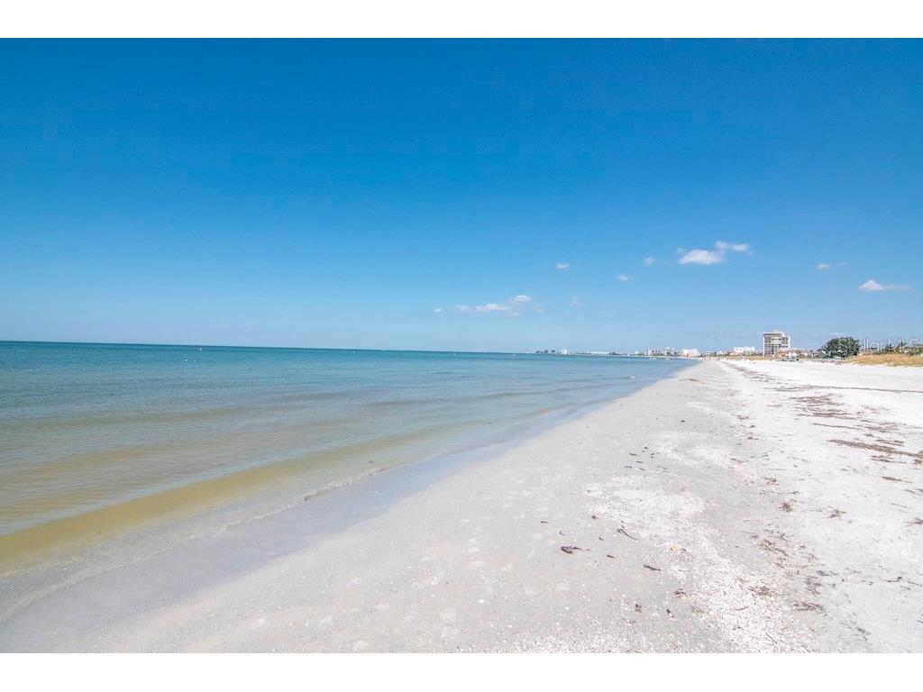 3200 Gulf Boulevard #103 Saint Pete Beach FL 33706 TB8496522 image45
