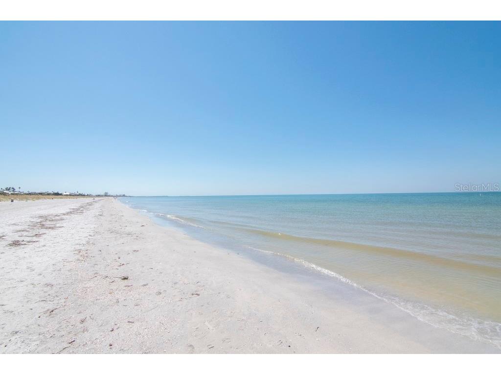 3200 Gulf Boulevard #103 Saint Pete Beach FL 33706 TB8496522 image46