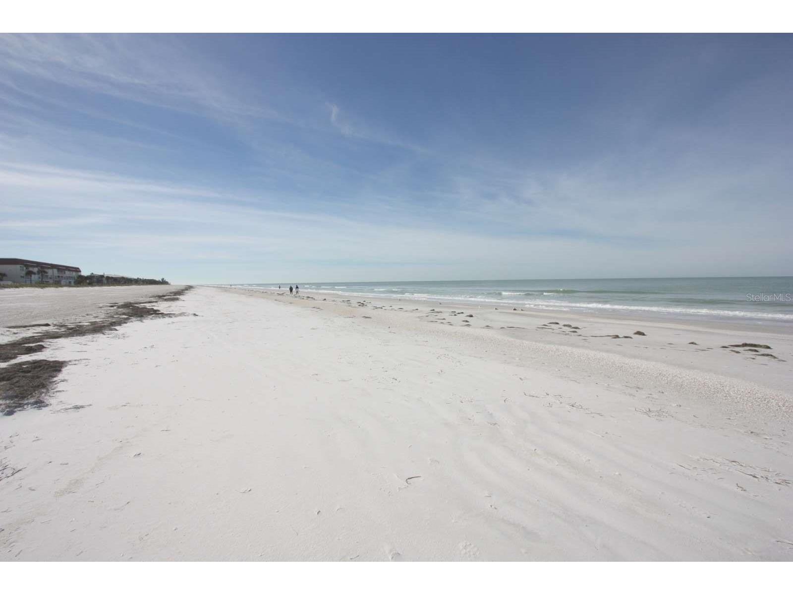 3200 Gulf Boulevard #201 Belleair Beach FL 33786 TB8489069 image23
