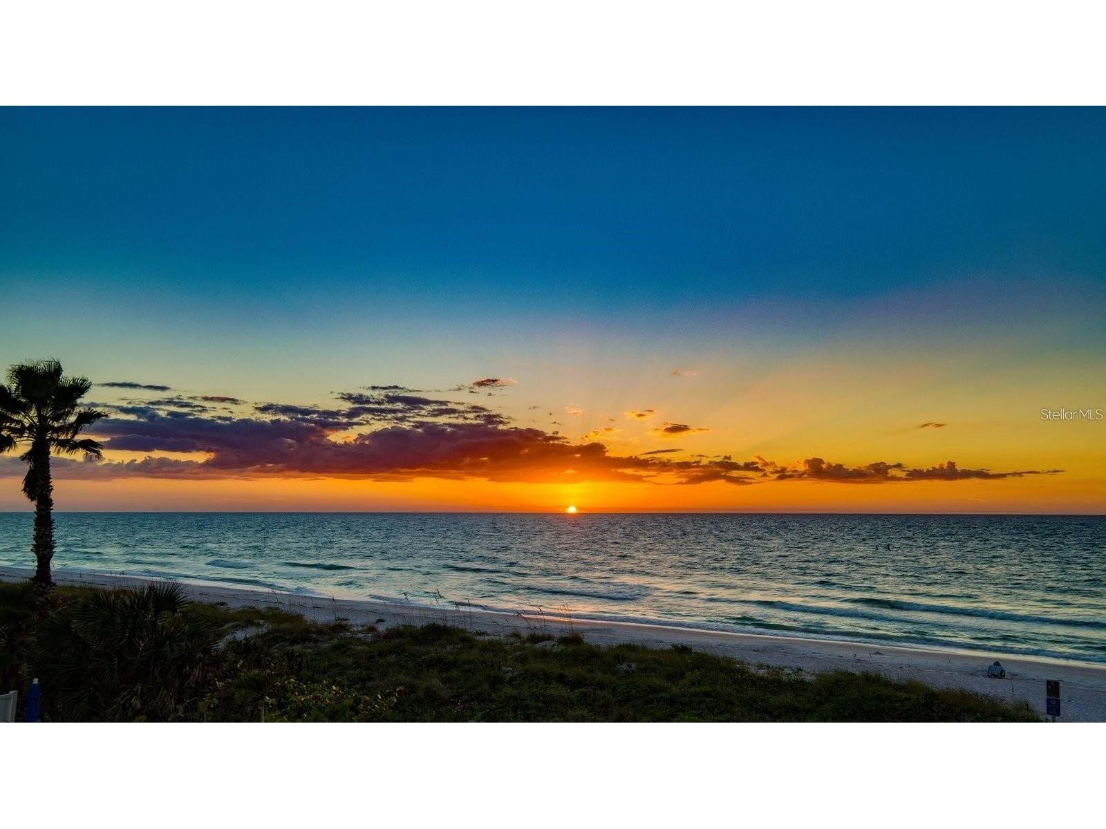 3200 Gulf Boulevard #201 Belleair Beach FL 33786 TB8489069 image28