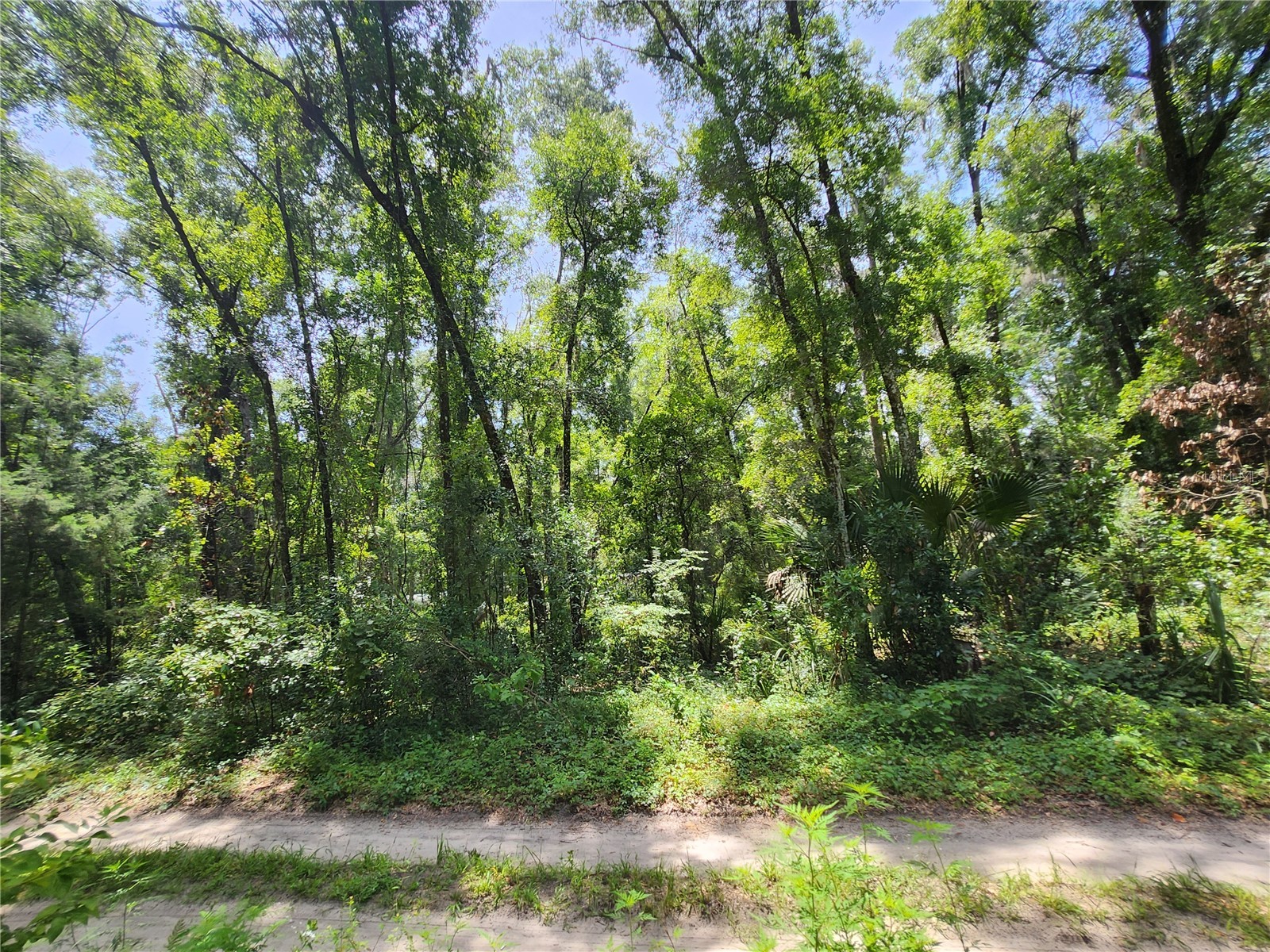 3200 NE 167 Street Citra FL 32113 OM705563 image1