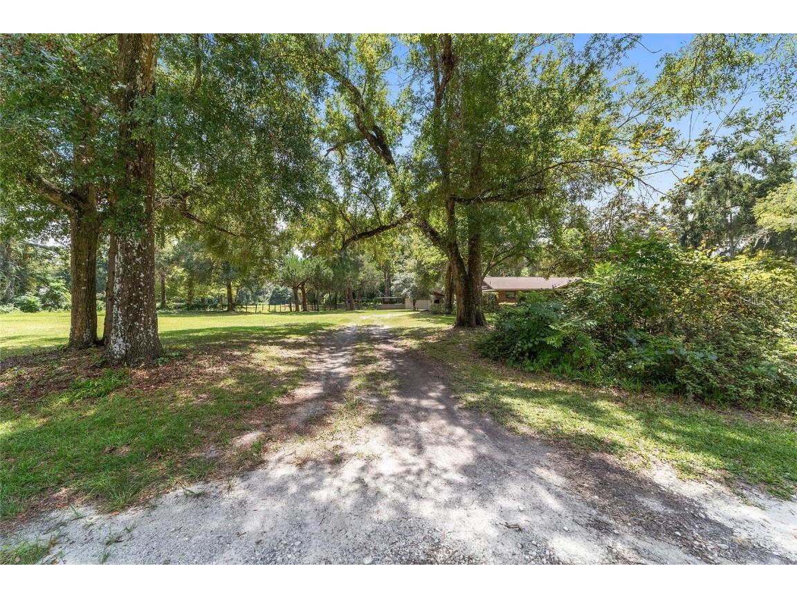 3200 NE 97th Street Road Anthony FL 32617 OM708251 image70