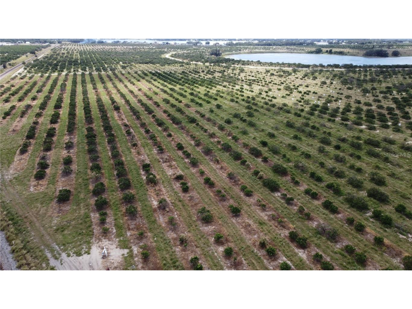 3200 Power Line Road Avon Park FL 33825 TB8311895 image20