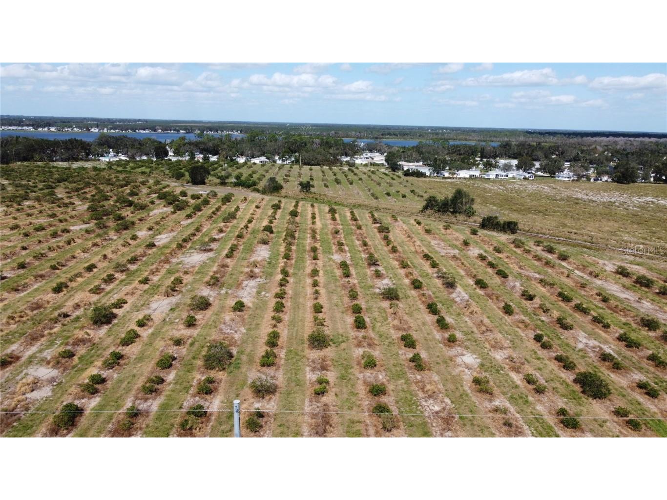 3200 Power Line Road Avon Park FL 33825 TB8311895 image3