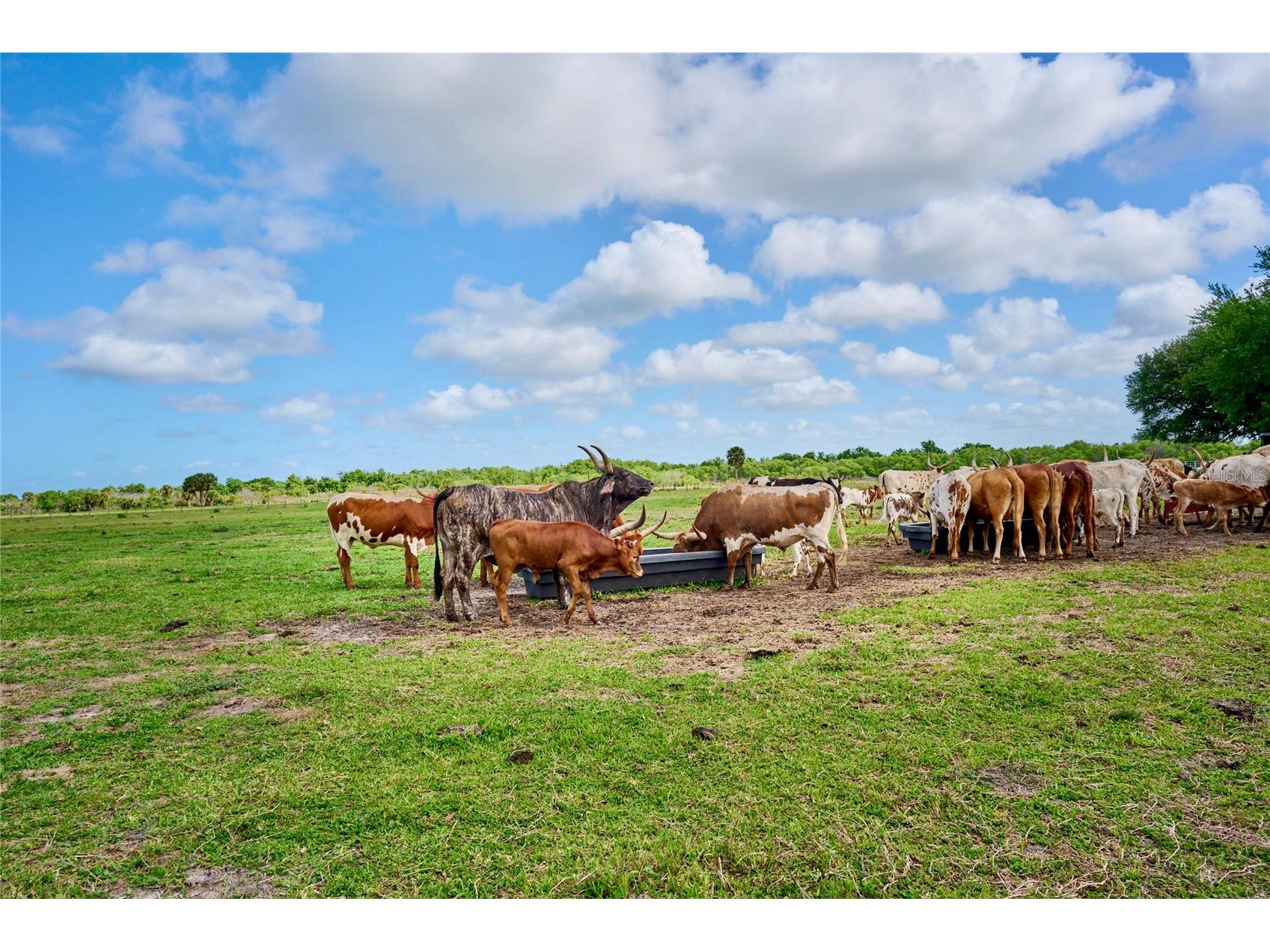 3200 River Ranch Boulevard #160 River Ranch FL 33867 TB8496453 image22